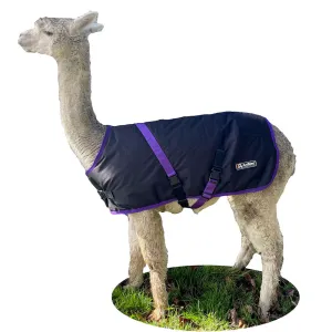 Alpaca Coat | Waterproof