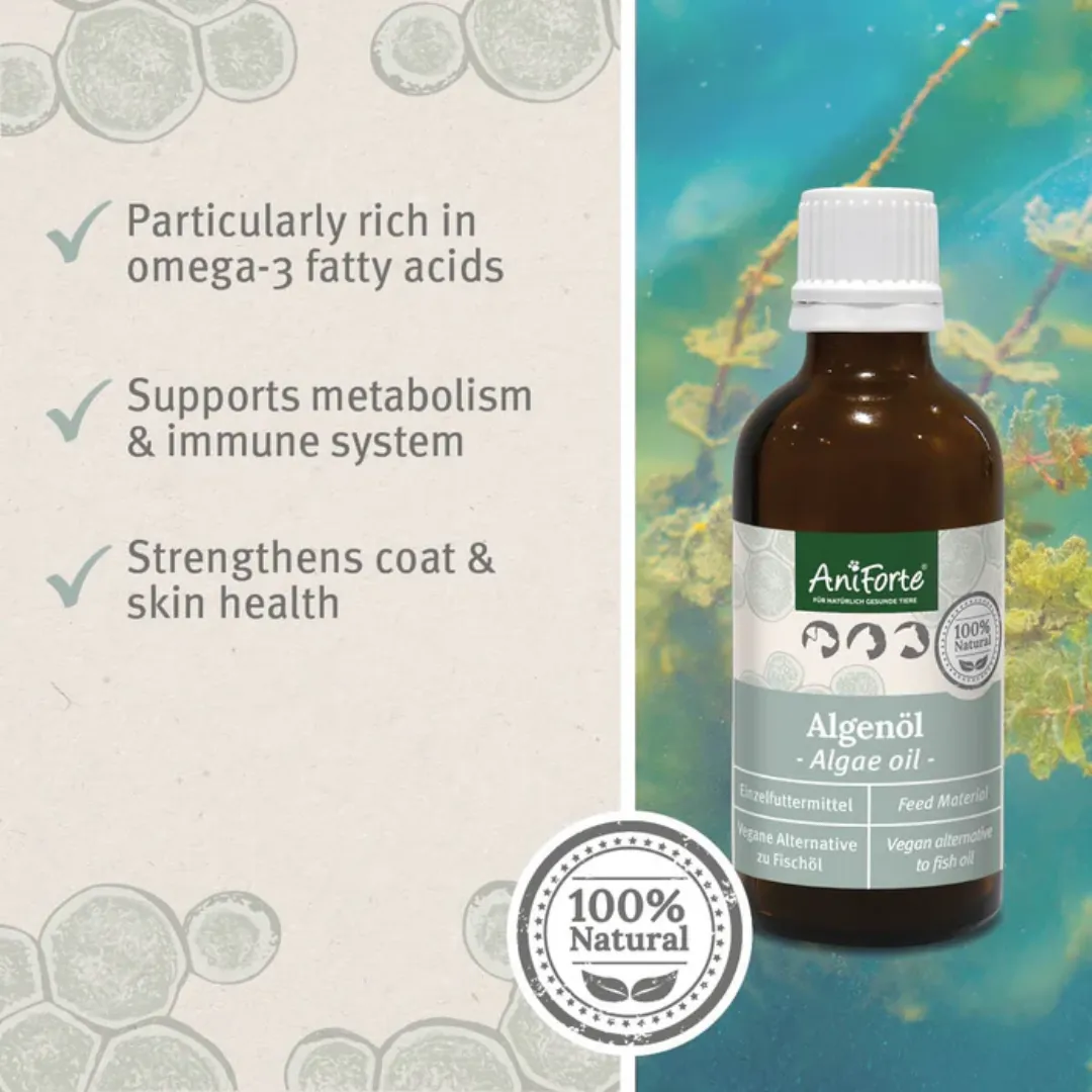 AniForte Algae Oil - Omega 3 Supplement