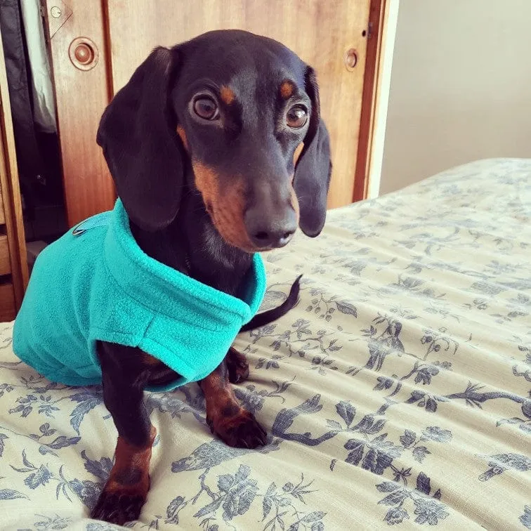 Fleece Dachshund Jacket