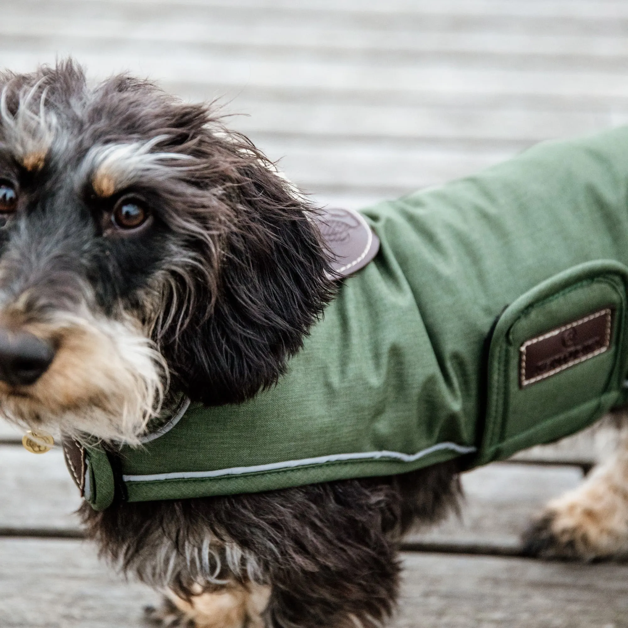 Kentucky Dogwear Waterproof Dog Coat - Olive Green