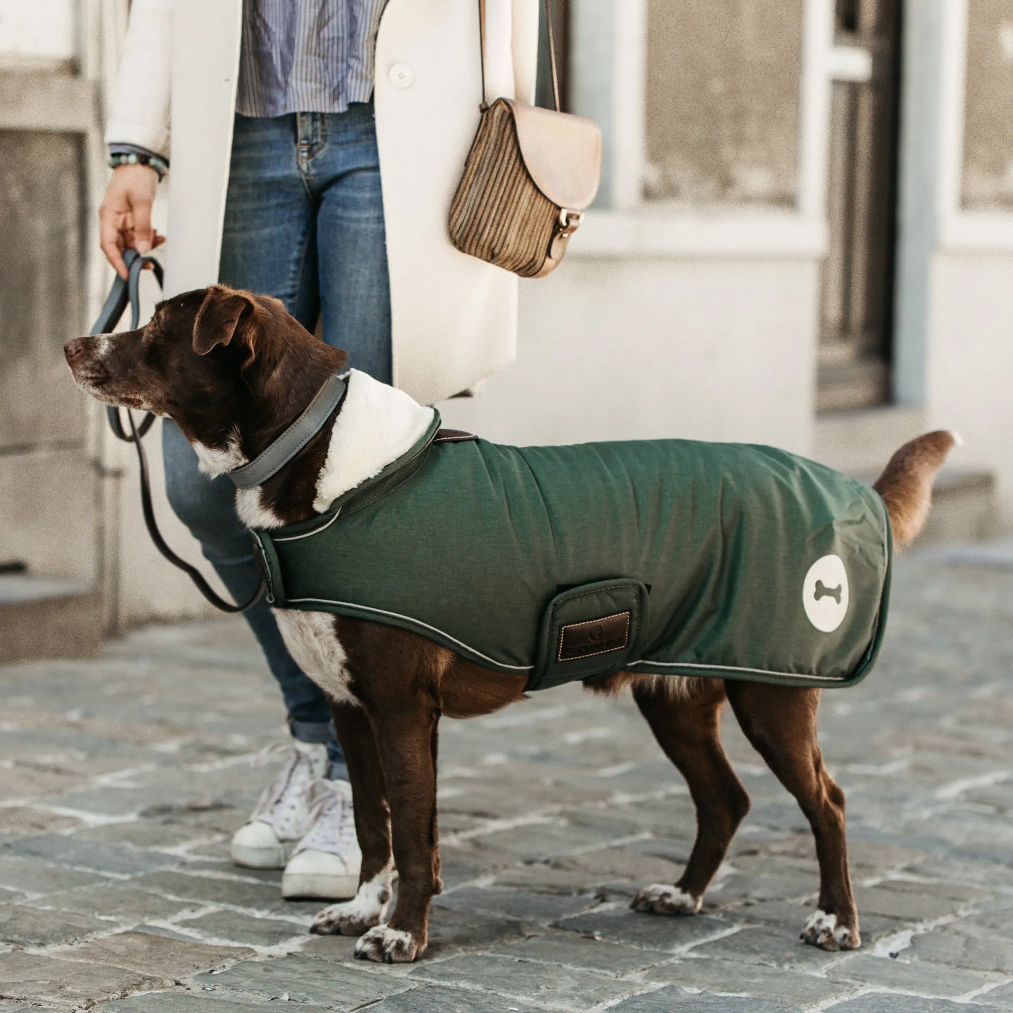 Kentucky Dogwear Waterproof Dog Coat - Olive Green