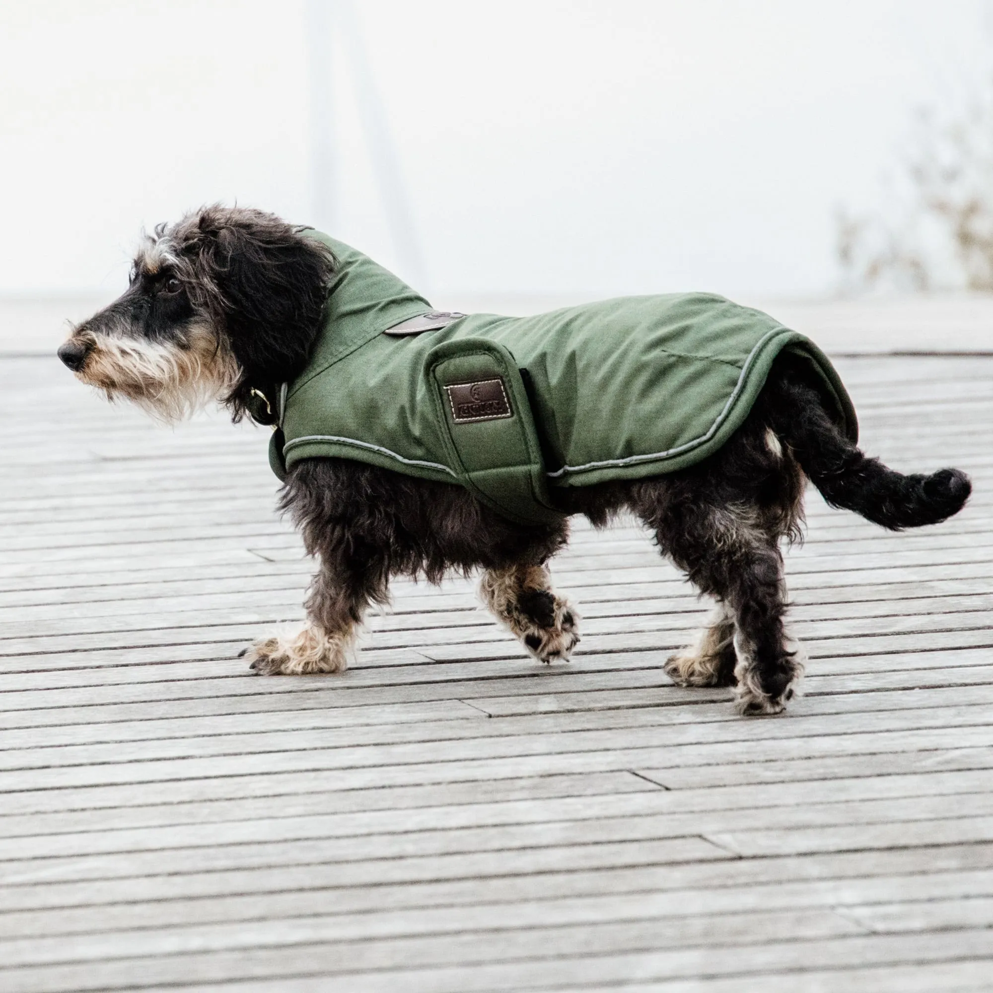 Kentucky Dogwear Waterproof Dog Coat - Olive Green