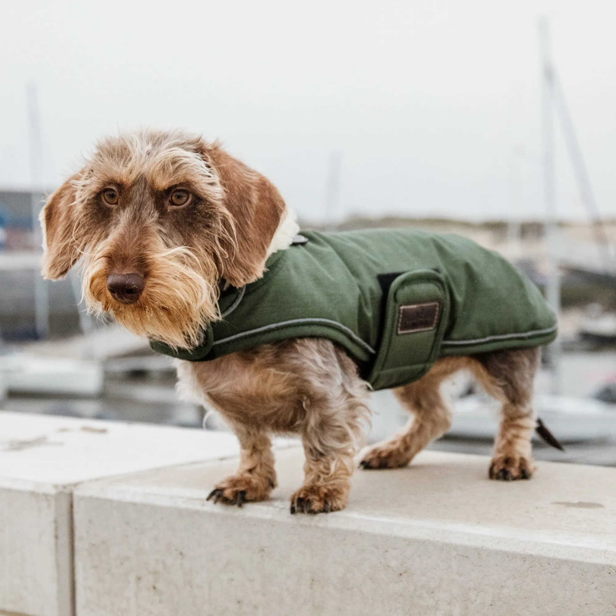 Kentucky Dogwear Waterproof Dog Coat - Olive Green