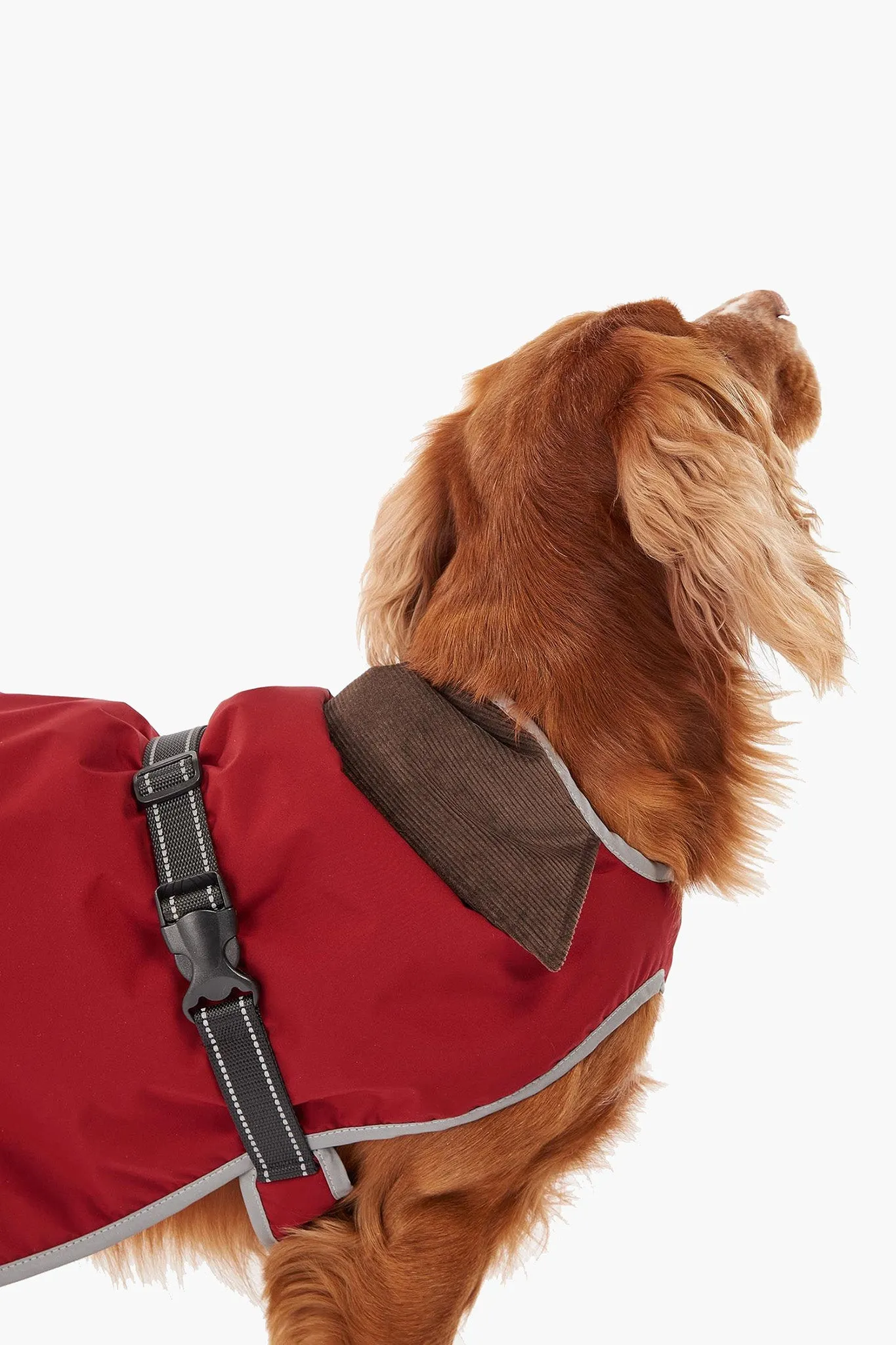 Monmouth Waterproof Dog Coat