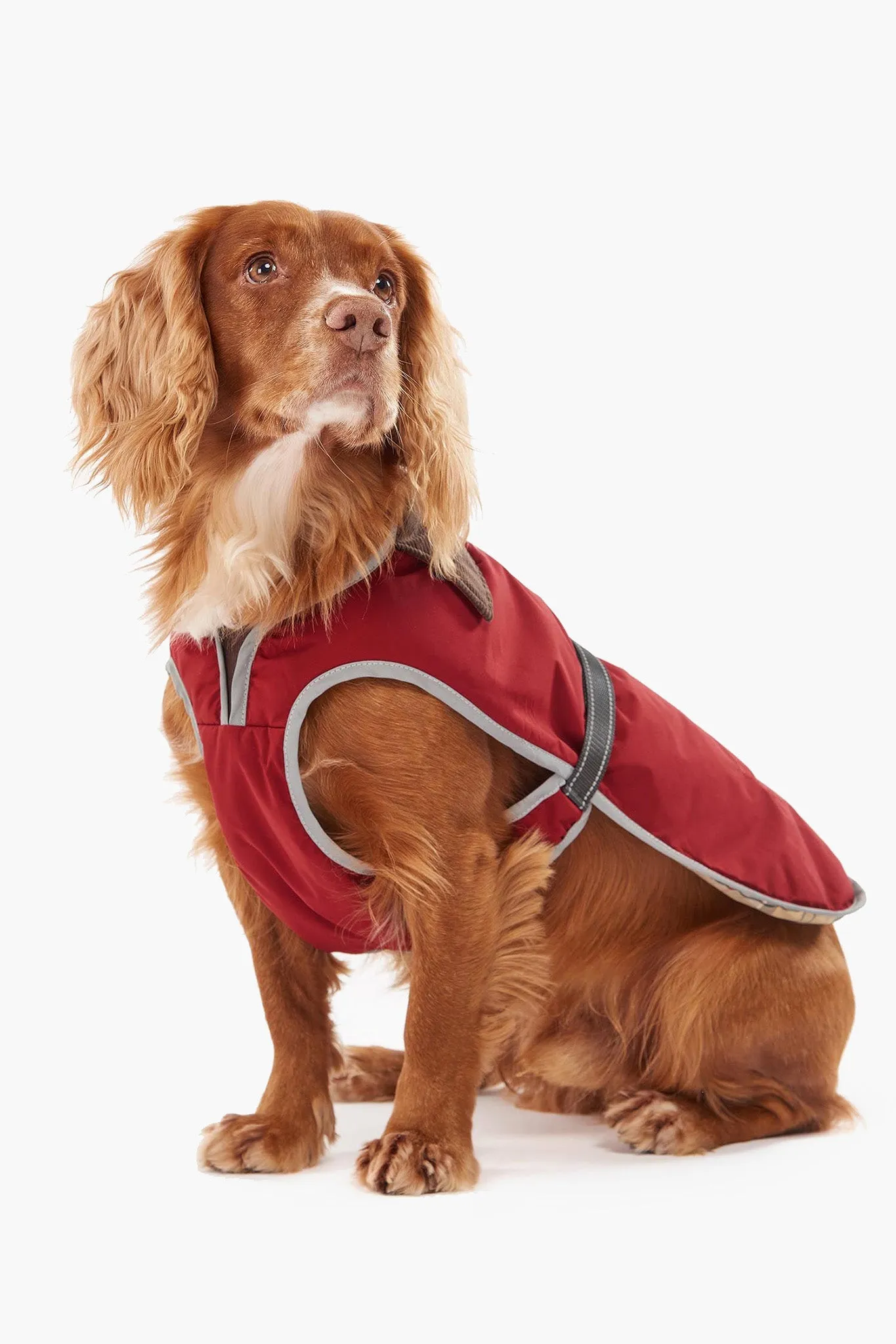 Monmouth Waterproof Dog Coat