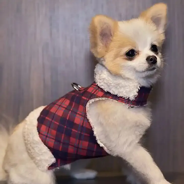 Plaid Scotty Bowzer Dog Coat