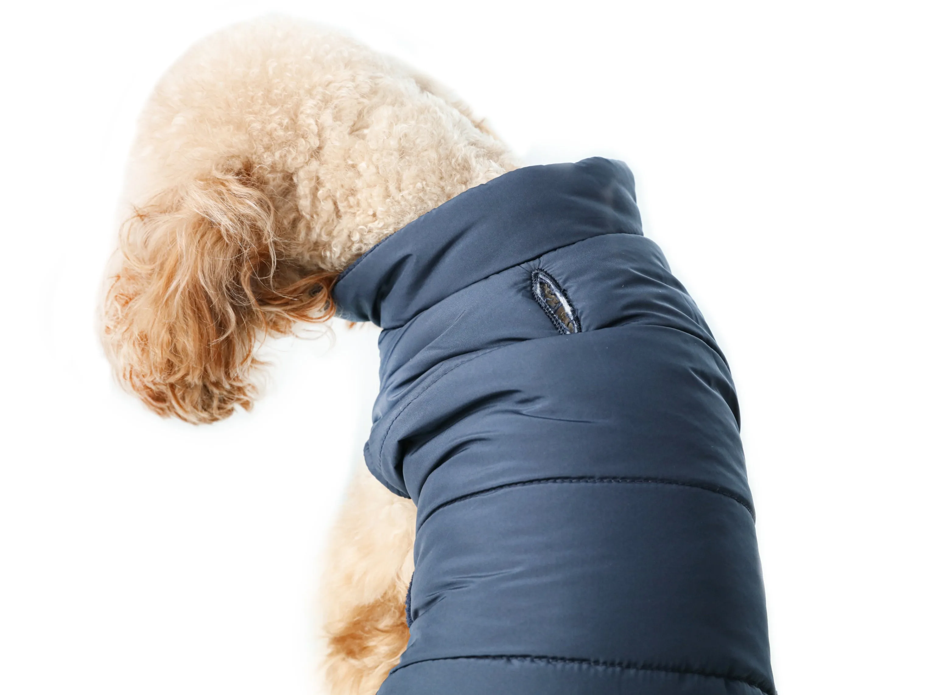 Reversible Dog Vest Jacket - Blue