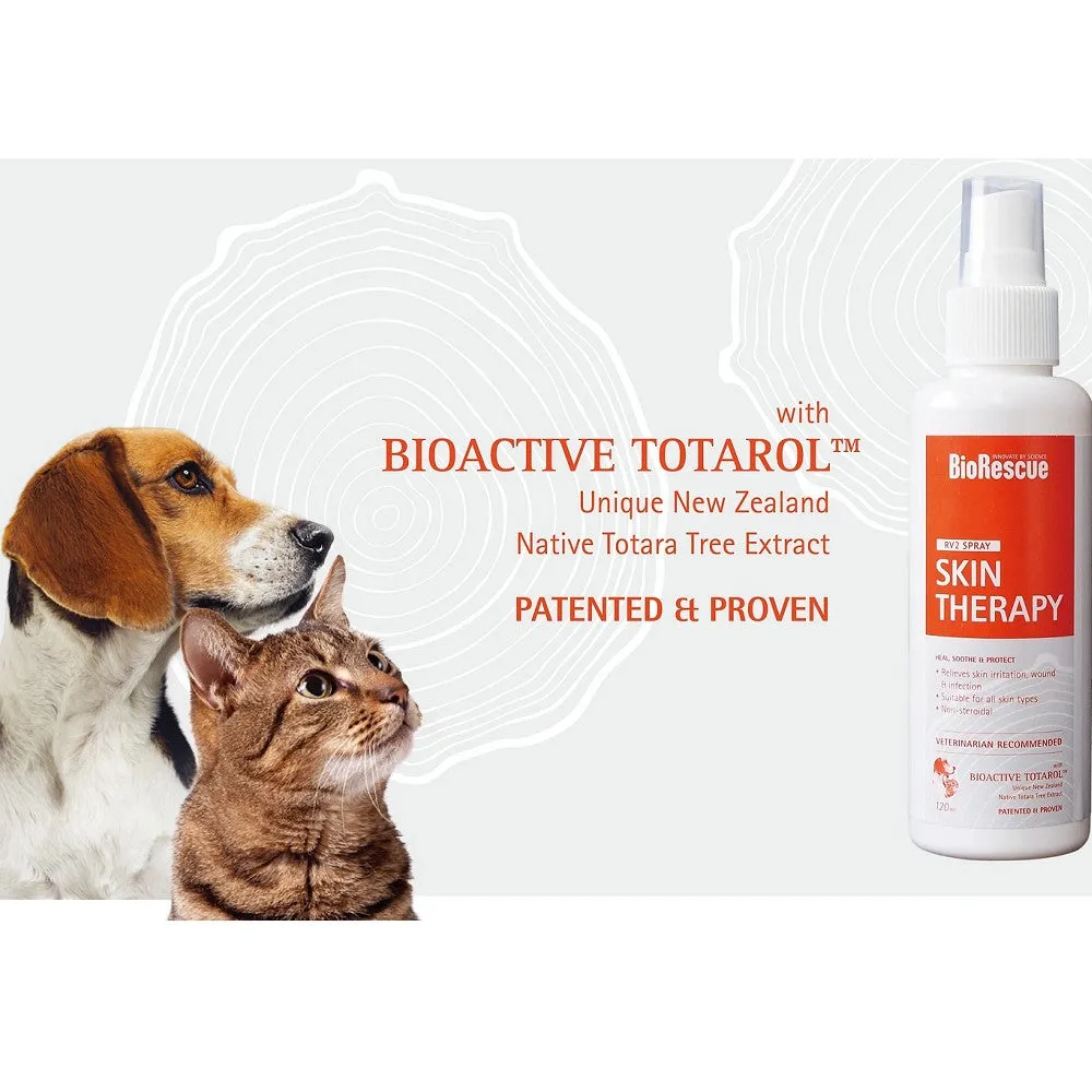 Skin Therapy for Dogs & Cats