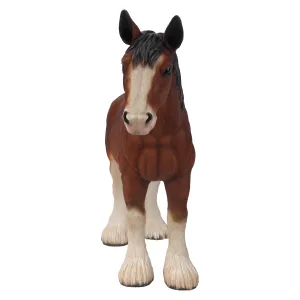 Small Draught Horse