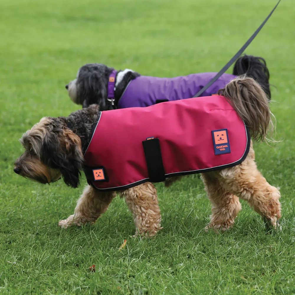 Waterproof Shower Dog Coat with Warm Lining